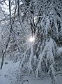 Neve (27)